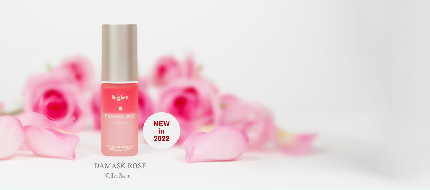 New Release: Damask Rose